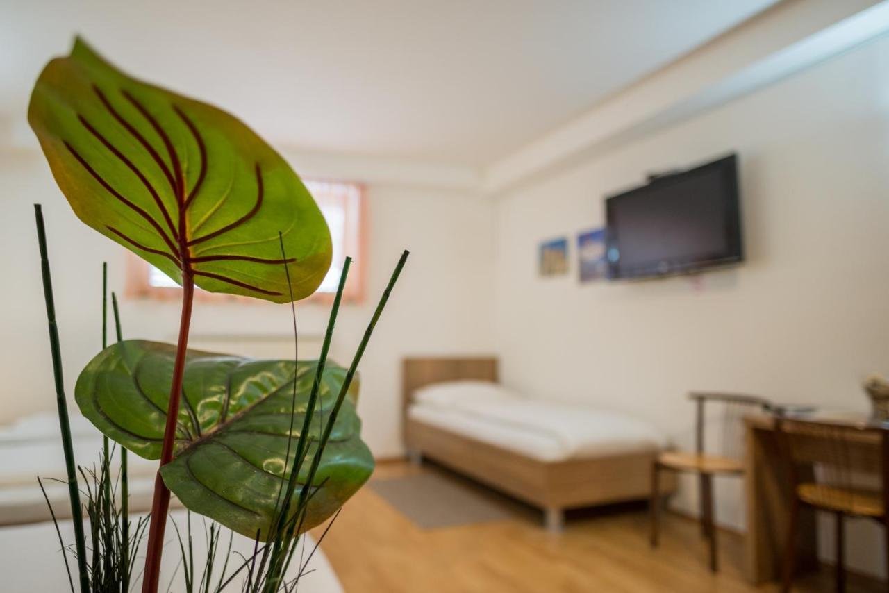 Guest House Mlada Lipa マリボル エクステリア 写真